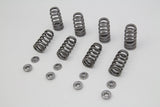 M8 Valve Spring Kit with Titanium Retainers