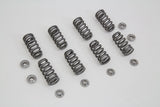 M8 Valve Spring Kit with Titanium Retainers