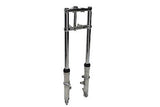 Fork Assembly with Polished Sliders Dual Disc