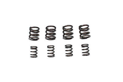 VALVE SPRING SET