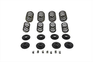 VALVE SPRING KIT