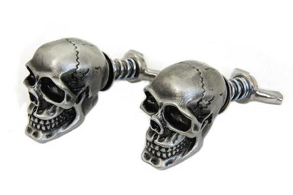 Silver Skull License Plate Bolt Set