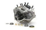 V-Twin Bare Engine Case Set